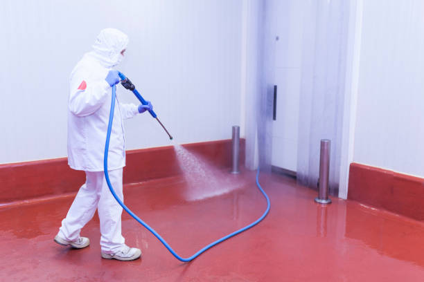 Best Vinyl Siding Pressure Washing in Columbus, MS